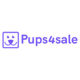 Cockalier Puppies